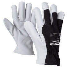 Gloves Raptor Classic
