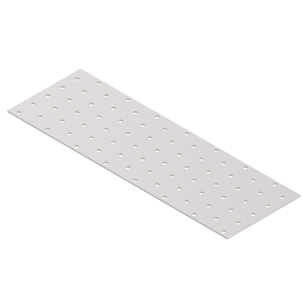 Raptor spikplatta 300x100x2,0 mm