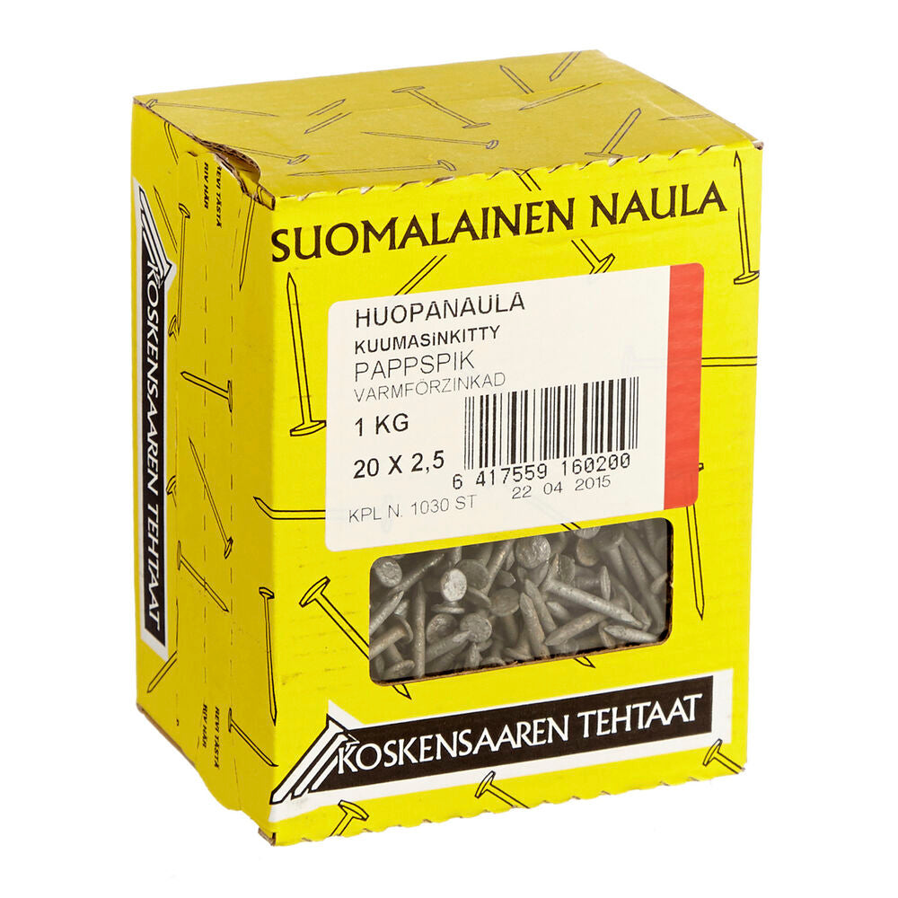 Hot-dip Galvanized Roofing Nails 20 × 2.5 mm, 1 kg – RR67
